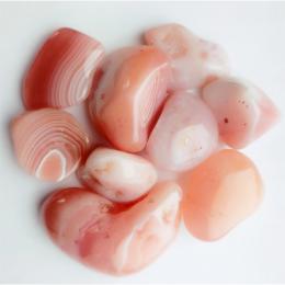 Abrikosagat XL 1 kg fra Botswana